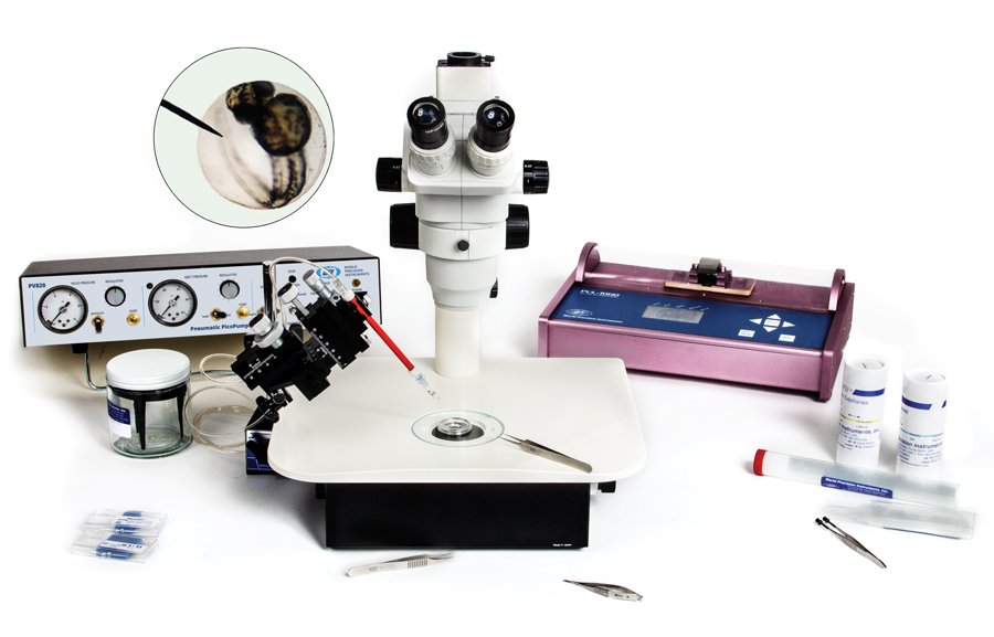 Microinjection System includes the microscope with lighted base, a pump, a micromanipulator, an injector and accessories.