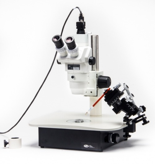 Lighted microscope base with trinocular microscope and camera
