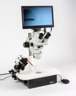 PRO-300 camera shown mounted on a microscope system