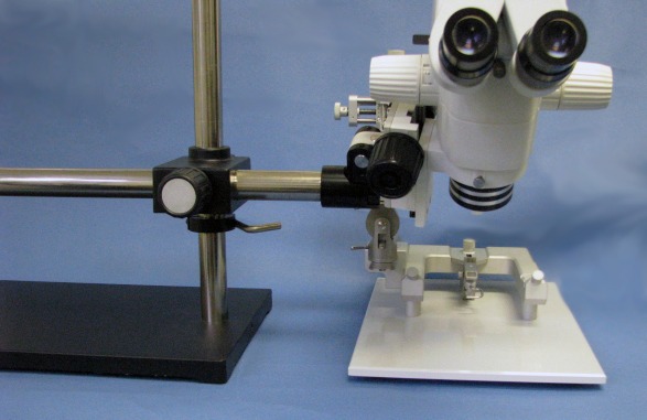 PZMIV stereo microscope