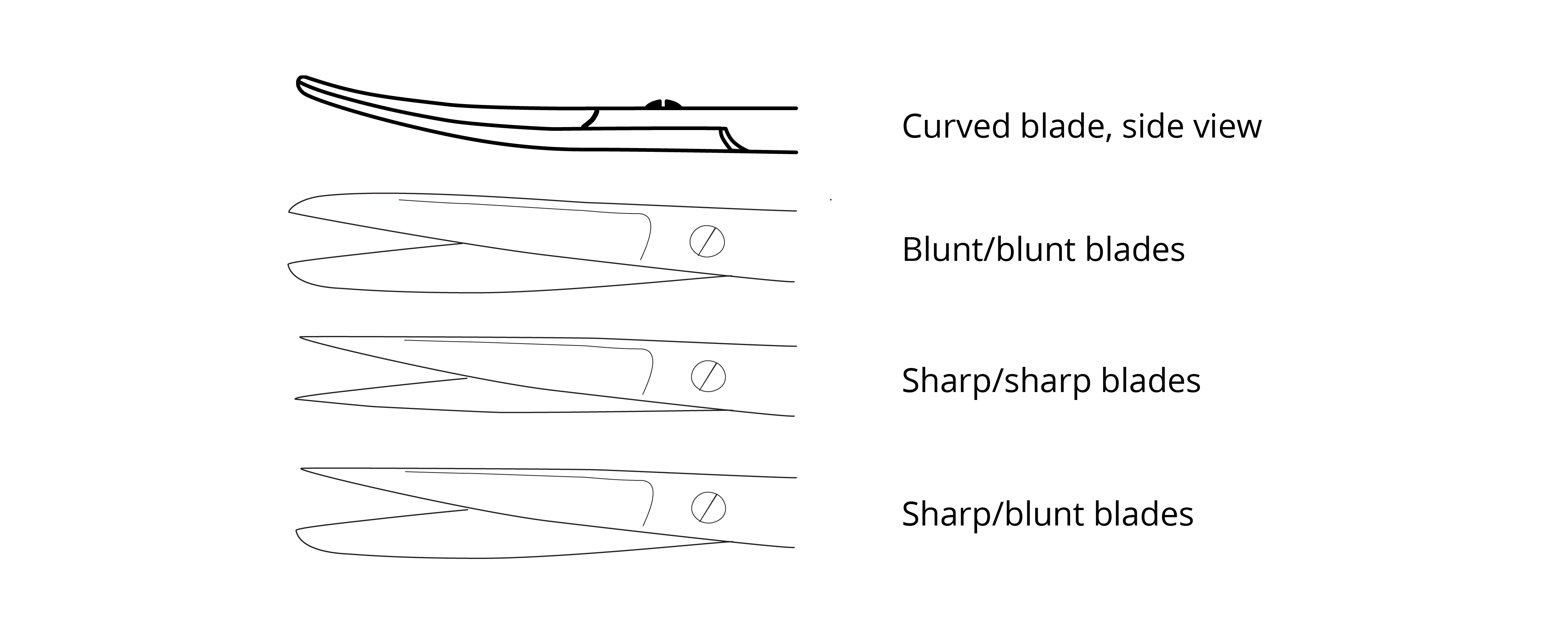 Fine Science Tools Surgical Scissors, Sharp-Blunt (Left-Handed
