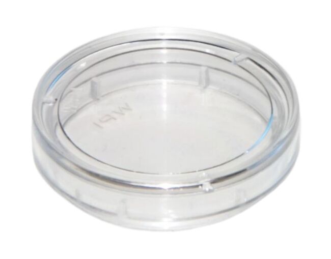 Gardner Glass Products 12-in x 16-in Clear Glass in the Replacement Glass  department at