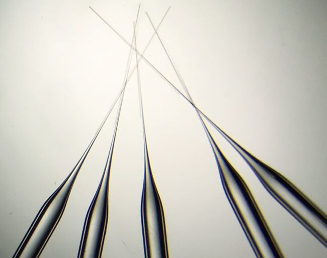 Pre-Pulled Glass Pipettes, Long taper