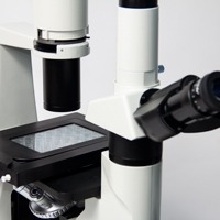 Microscope Chamber Setup for Live Cell Imaging