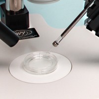 Micropipette Holders and Half Cells