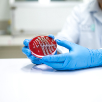 Improve Your Experiments with FlouroDish Cell Culture Dishes